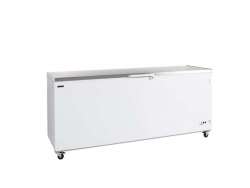 CF 700S TEFCOLD ΚΑΤΑΨΥΚΤΗΣ ΜΠΑΟΥΛΟ ΜΕ INOX ΚΑΠΑΚΙ